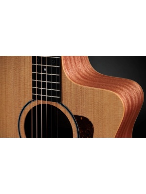 Taylor 14ce - Img4