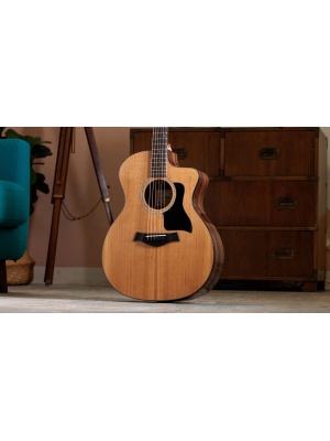 Taylor 214ce Plus - Img11