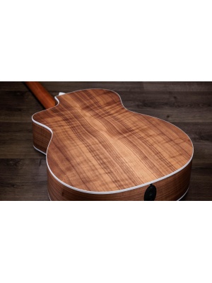 Taylor 214ce - Img10