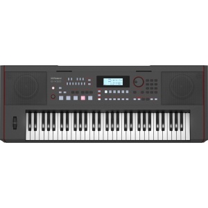 Aranjor profesional Roland E-X50 - Img1
