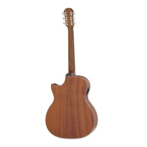Aria 101CE MTN - Img2