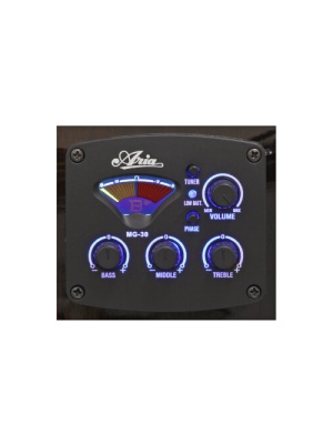ARIA A-10CE MTN - Img4