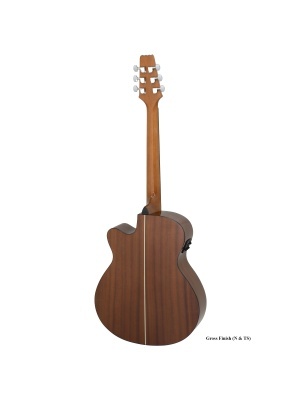 ARIA AF-10CE N - Img2