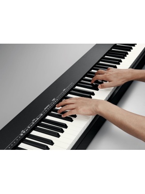 Roland A-88MKII - Img6