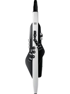 Roland Aerophone AE-20 - Img3