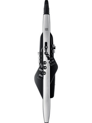 Roland Aerophone Pro (AE-30) - Img3