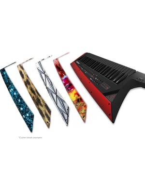 Roland AX-Edge - Img11