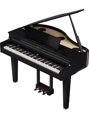 Roland GP-6-PE - Img3