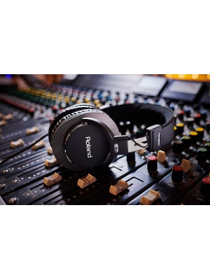 Roland RH-300 - Img3