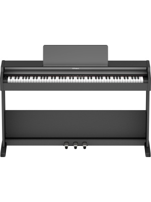 Roland RP107 - Img4