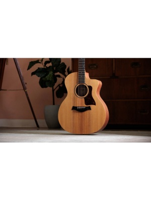 Taylor 14ce - Img11
