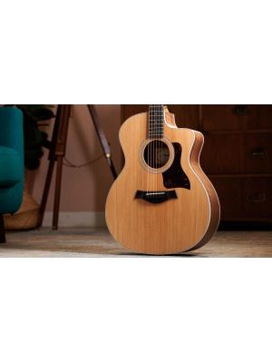 Taylor 214ce - Img11