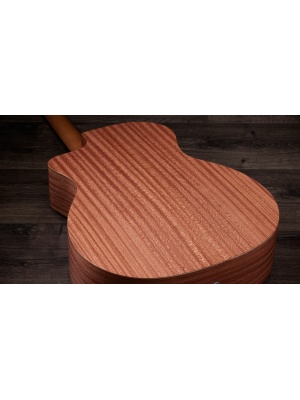 Taylor 24ce - Img10