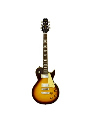 ARIA Pro II PE-590 STD AGTS