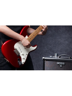 BOSS WL-20 - Img4