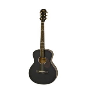 Chitara Acustica Aria 151 MTBK - Img1