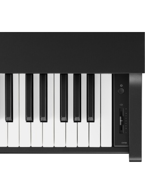 Kawai CX102B - Img5