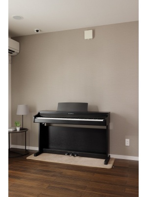 Kawai CX202R - Img2