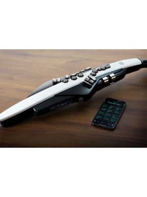 Roland Aerophone AE-20 - Img10
