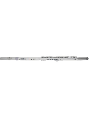 Roland Aerophone Brisa - Img4