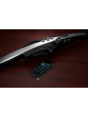 Roland Aerophone Pro (AE-30) - Img10