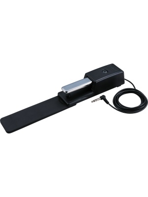 Roland DP-10 - Img2