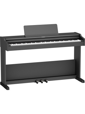Roland RP107