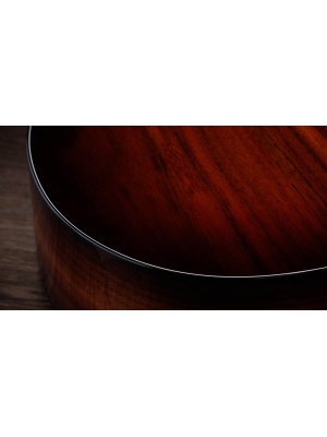 Taylor 224ce-K DLX - Img4