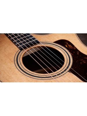 Taylor 314ce Studio - Img5