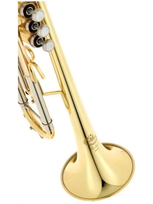B&S Prodige BS210-1-0 cu husă - Img6