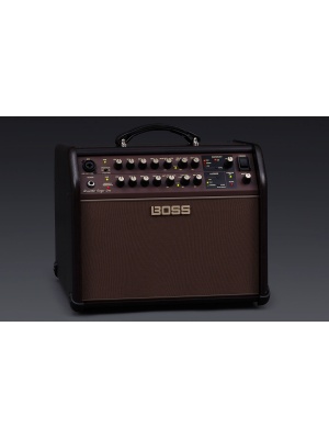 Boss ACS Acoustic Singer Live - Img5