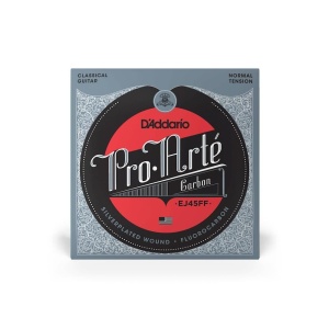 Corzi Chitara Clasica D'Addario EJ45FF