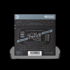 Corzi Chitara Clasica D'Addario EJ46FF - Img2