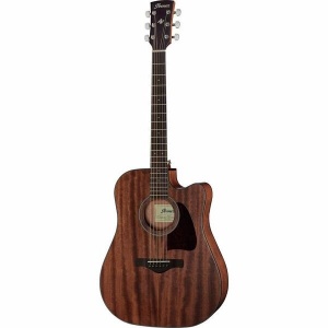 Ibanez AW54CE-OPN Open Pore Natural
