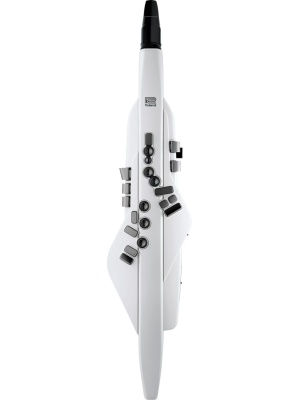 Roland Aerophone AE-20 White - Img3