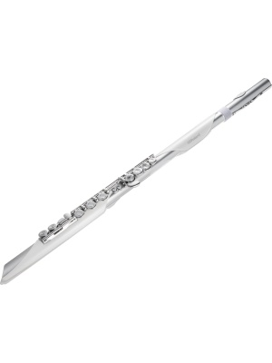 Roland Aerophone Brisa