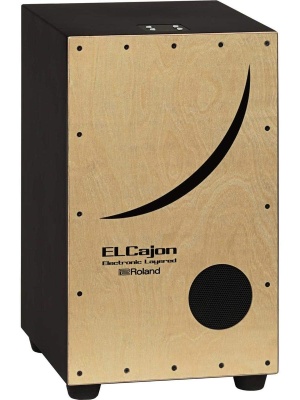 Roland EC-10