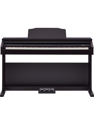 Roland RP30