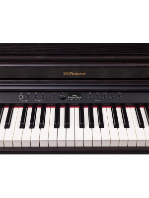 Roland RP701-DR - Img6