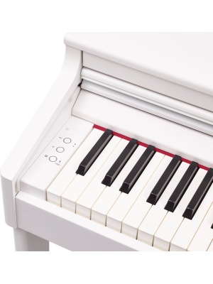 Roland RP701-WH - Img5