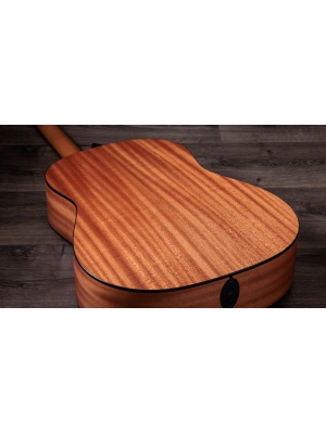 Taylor 117e - Img4