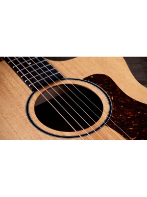 Taylor 14ce - Img5