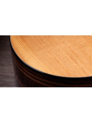 Taylor 214ce Plus - Img4
