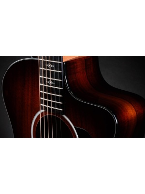 Taylor 224ce-K DLX - Img5