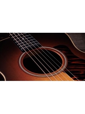 Taylor GS Mini-e Rosewood SB - Img6