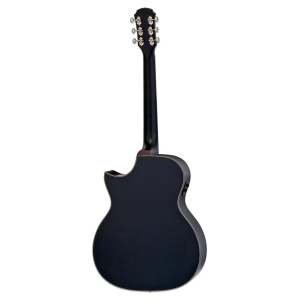 Aria 101CE MTBK - Img2
