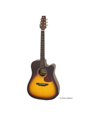 ARIA AD-10CE TS