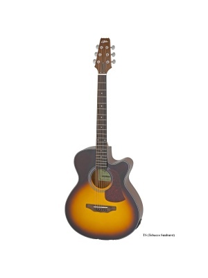 ARIA AF-10CE TS