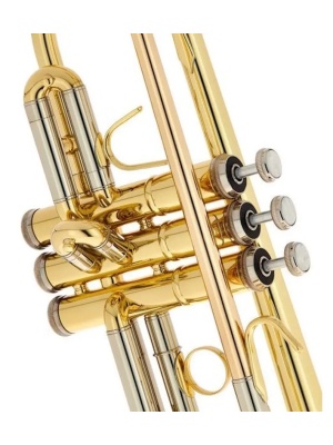 B&S Prodige BS210-1-0 cu husă - Img3