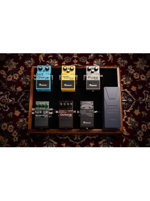 Boss RE-2 Space Echo - Img6